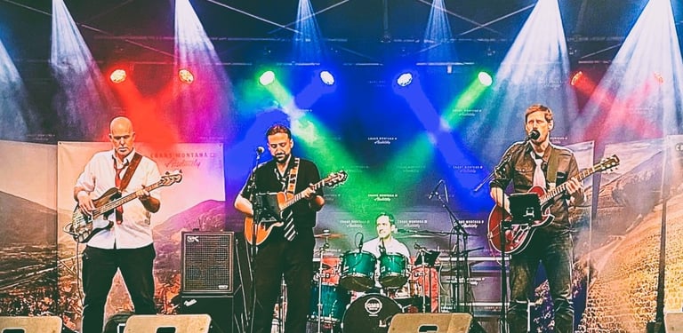 PYTOM - Groupe de reprises & Cover band 100% Live sur scène, Sion, Valais