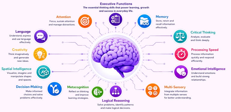 Cognitive functions of the brain