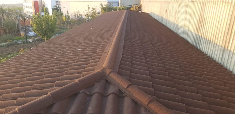 İstanbul-Hadımköy-Pelikan Evleri