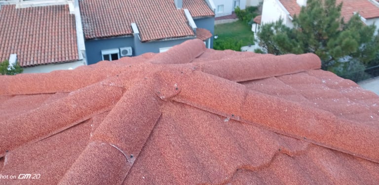 İzmir-Foça-Murat Bey Projemizden Kareler