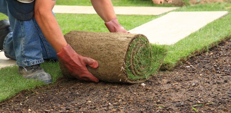 Professional landscaper installing fresh sod rolls on a prepared dirt lawn for backyard landscaping.