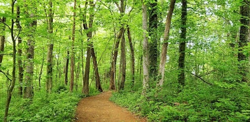 Knoxville, Tennessee Travel - trails at Ijams Nature Park, a nature & wildlife preserve