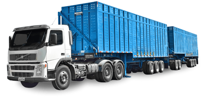 Caminhão canavieiro