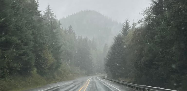 Foggy, rainy road view — reflecting the confusion and heaviness of burnout