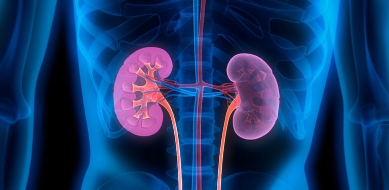 Acido urico alto: cause principali e rimedi naturali per abbassarlo.