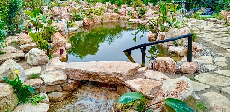 Limestone natural pool with negative edge & upflow wetland filtration – Mirando do Corvo, Portugal