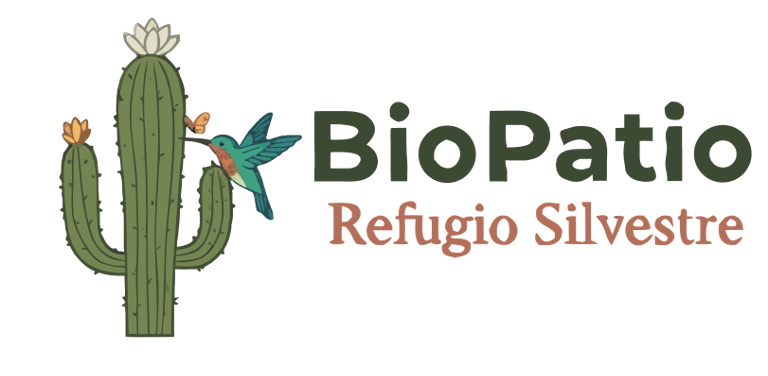 logo de Biopatio cactus con un colibri 