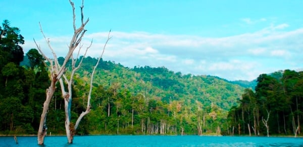 4 Days 3 Nights Royal Belum National Park Tour & Travel Packages