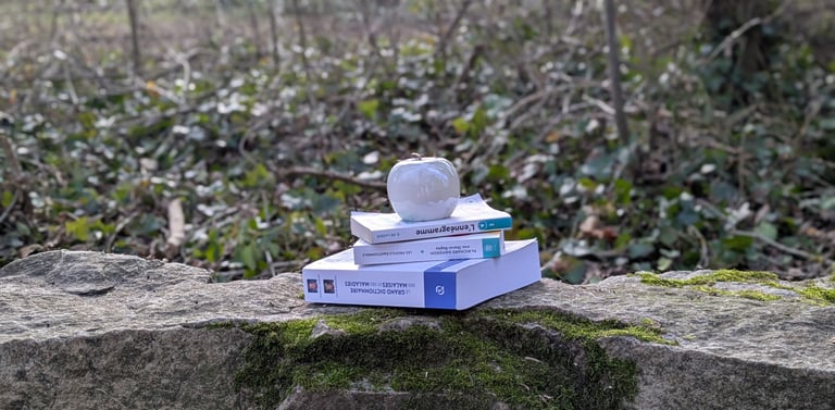 Thérapie individuelle