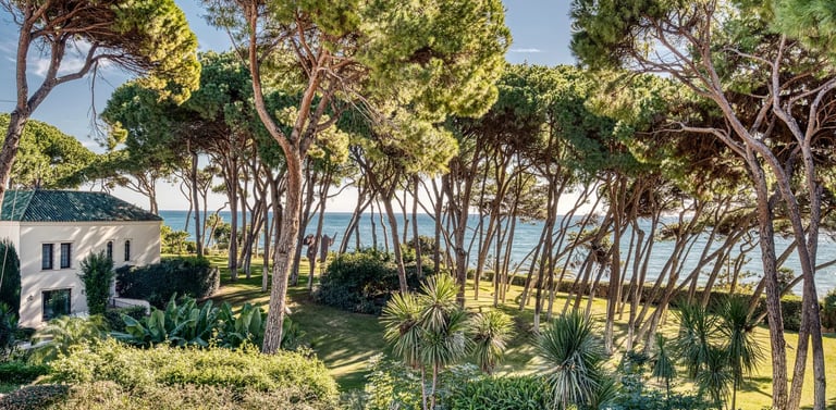 Private beachfront estate with manicured gardens and pine grove