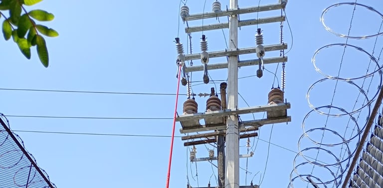 a person in a helmet is holding a pole with a red pole