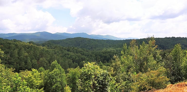 Tellico Plains TN - view of Blue Ridge Mtns at Caney Branch Overlook on Cherohala Skyway