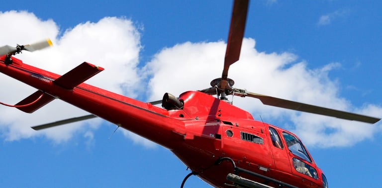a dog is sitting in front of a helicopter