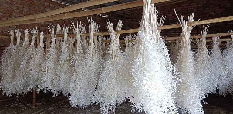 preserved flower factory