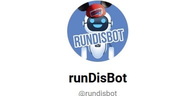 The runDisBot on Telegram, an AI to answer all your running at Disney questions