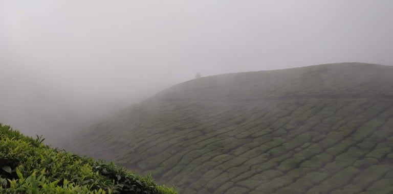 kolukkumalai
