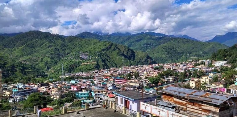 a view of a city with mountains in the background
