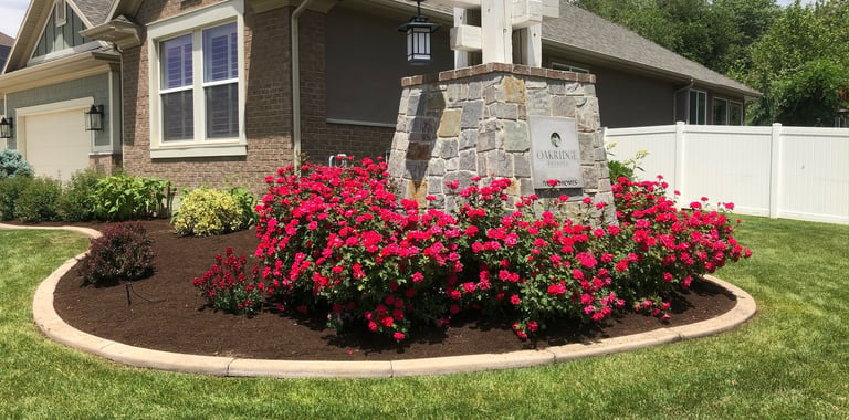 Flower bed maintenance 