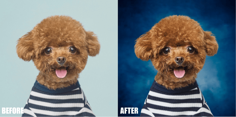 photo-manipulations