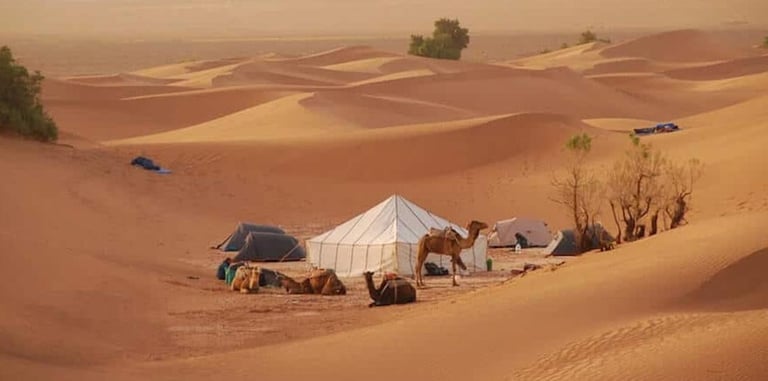 nomadic tent in chigaga desert zagora with soul of nomads