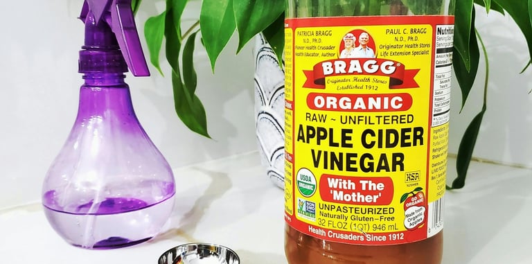 Apple cider vinegar natural pest treatment for houseplants