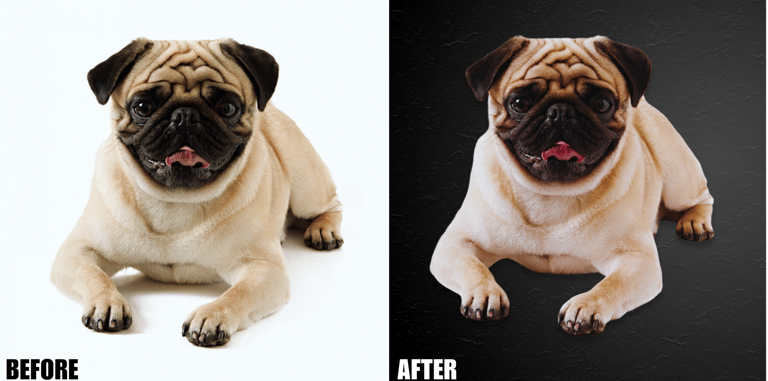 animal-creative-editing