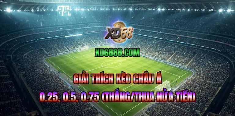 Giải thích kèo châu á 0.25 0.5 0.75 trong cách đọc kèo bóng đá xd68
