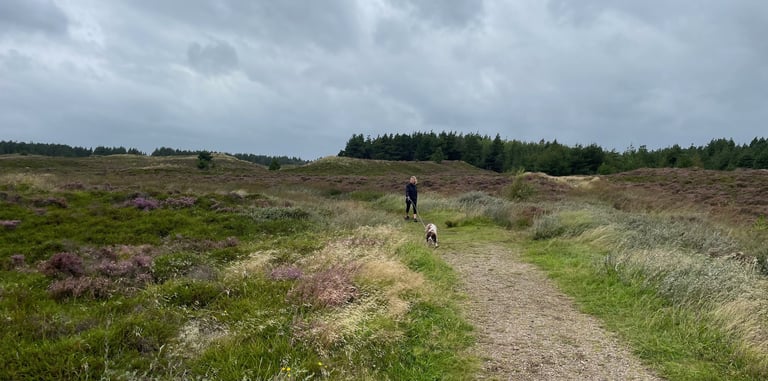 Rømø island, and the Wadden Sea National Park