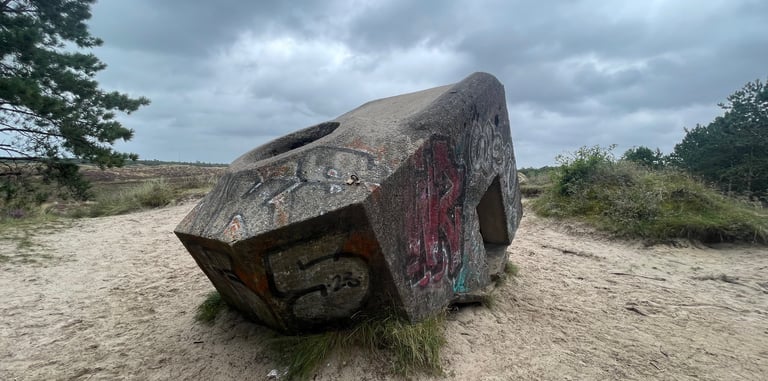 Rømø island, and the Wadden Sea National Park