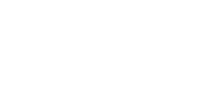 Intrepid Mental Wellness
