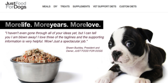 Client praise for creation of branding slogan