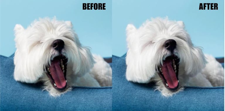 clean-wool-or-correct-hair-color