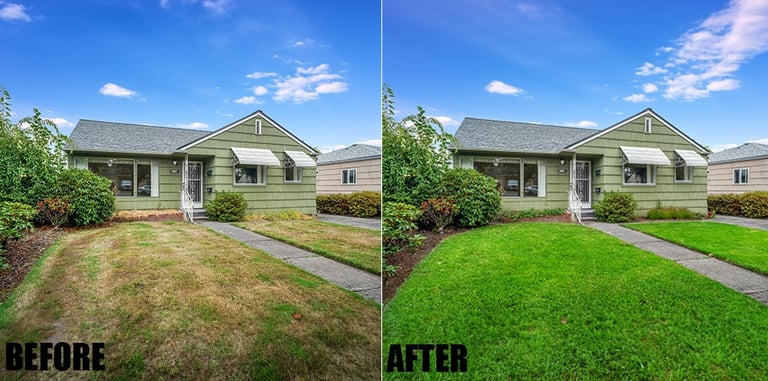 lawn-replacement