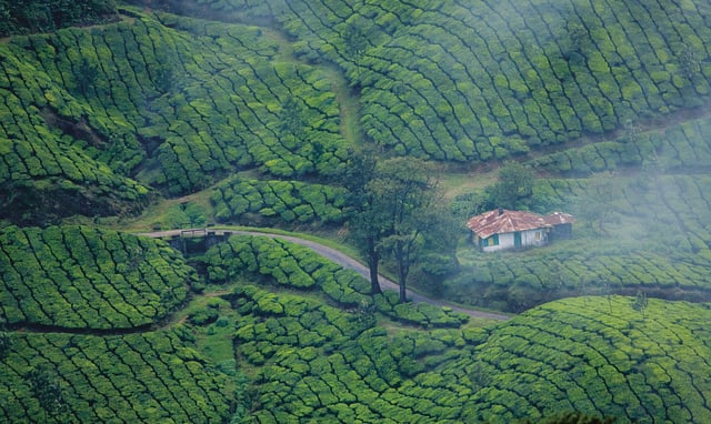 Kerala tours and packages