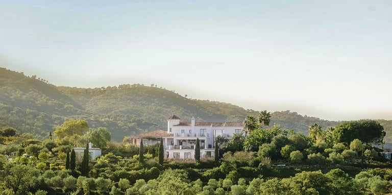 Hilltop Mediterranean estate surrounded by olive trees and nature