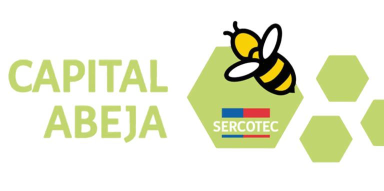 Capital Abeja - Profity