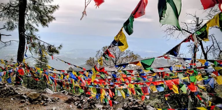 Colorful prayer flags along the Triund trekking route,  McLeod Ganj, Dharamshala.
