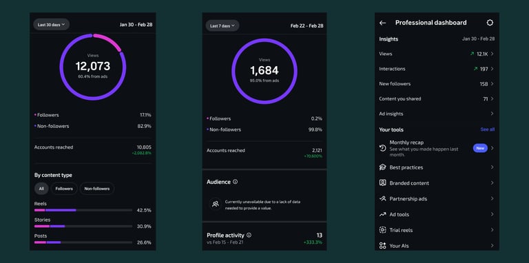 INSTGRAM ORGANIC VIEW 1 MONTH
