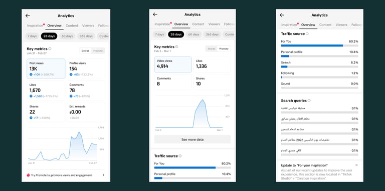 TIKTOK ORGANIC VIEW 1 MONTH