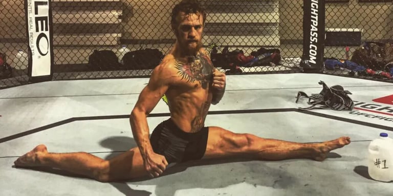 conor mcgregor siłownia