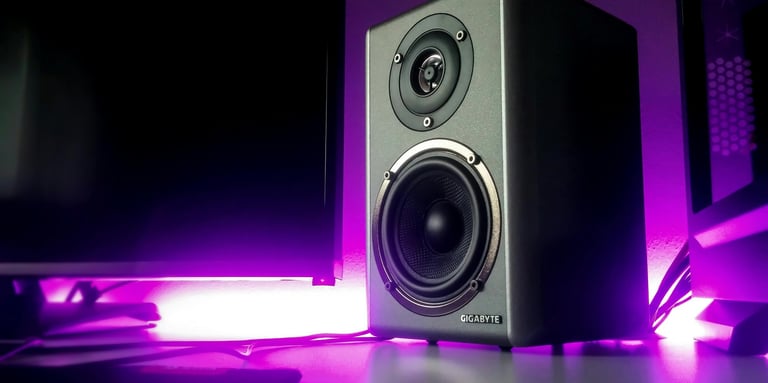 a speaker system with a monitor and a monitor