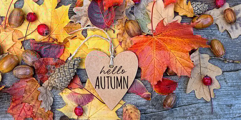 Seasonal Wax Melt Specials