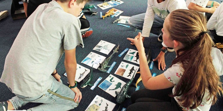 3 enfants avec la boite à requins