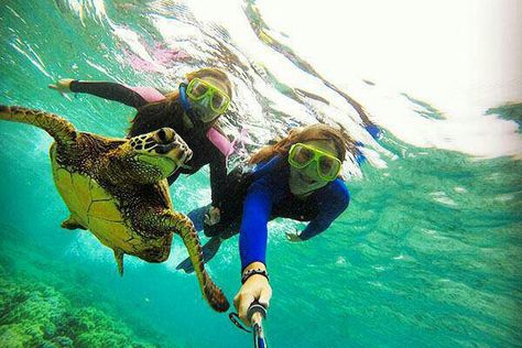 Tourists swimming and taking a selfie with a sea turtle during a Mnemba Island Zanzibar snorkeling tour