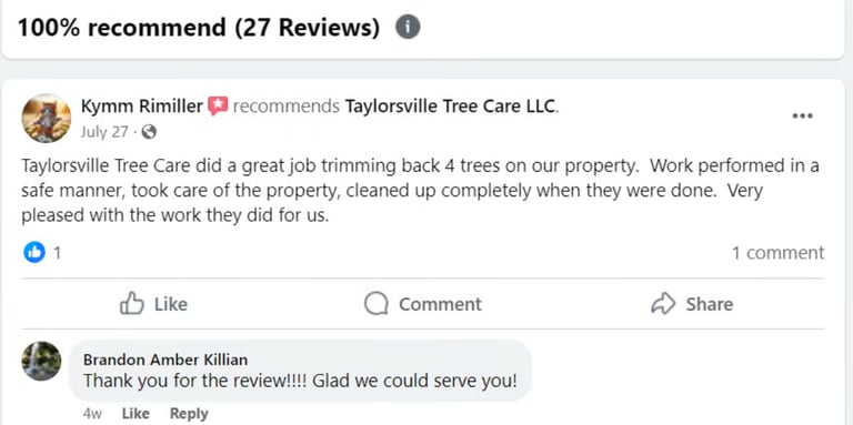 Facebook Recommendations Tree Trimming Mooresville NC