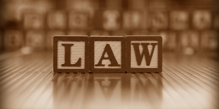 Information Technology Law