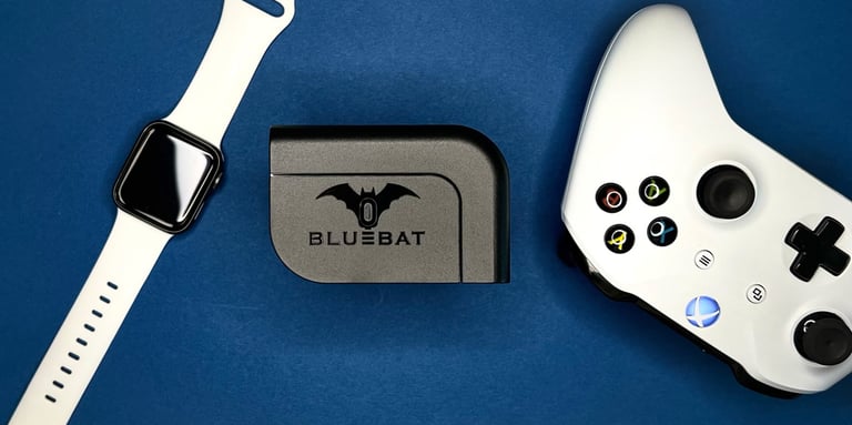 Charging Device | Bluebat BB101 for optimum charging. Timed and delayed charge with heat sensor