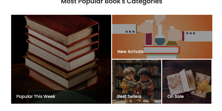 Organized ebook categories interface