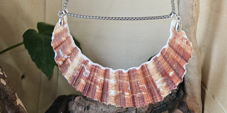 Collier en coquille St Jacques