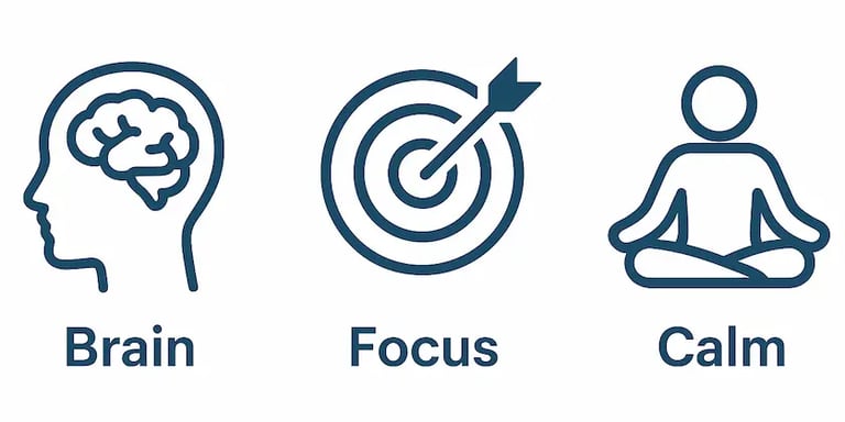 Illustration showing how Nervovive ingredients support brain and nerve function